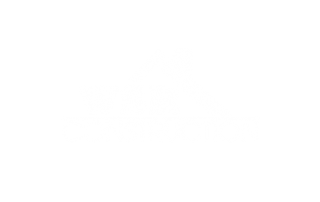 WSR Construction