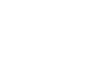 Credit Dad